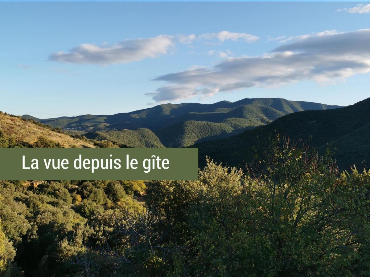 Pyrenees Mon Amour Felluns Luaran gambar