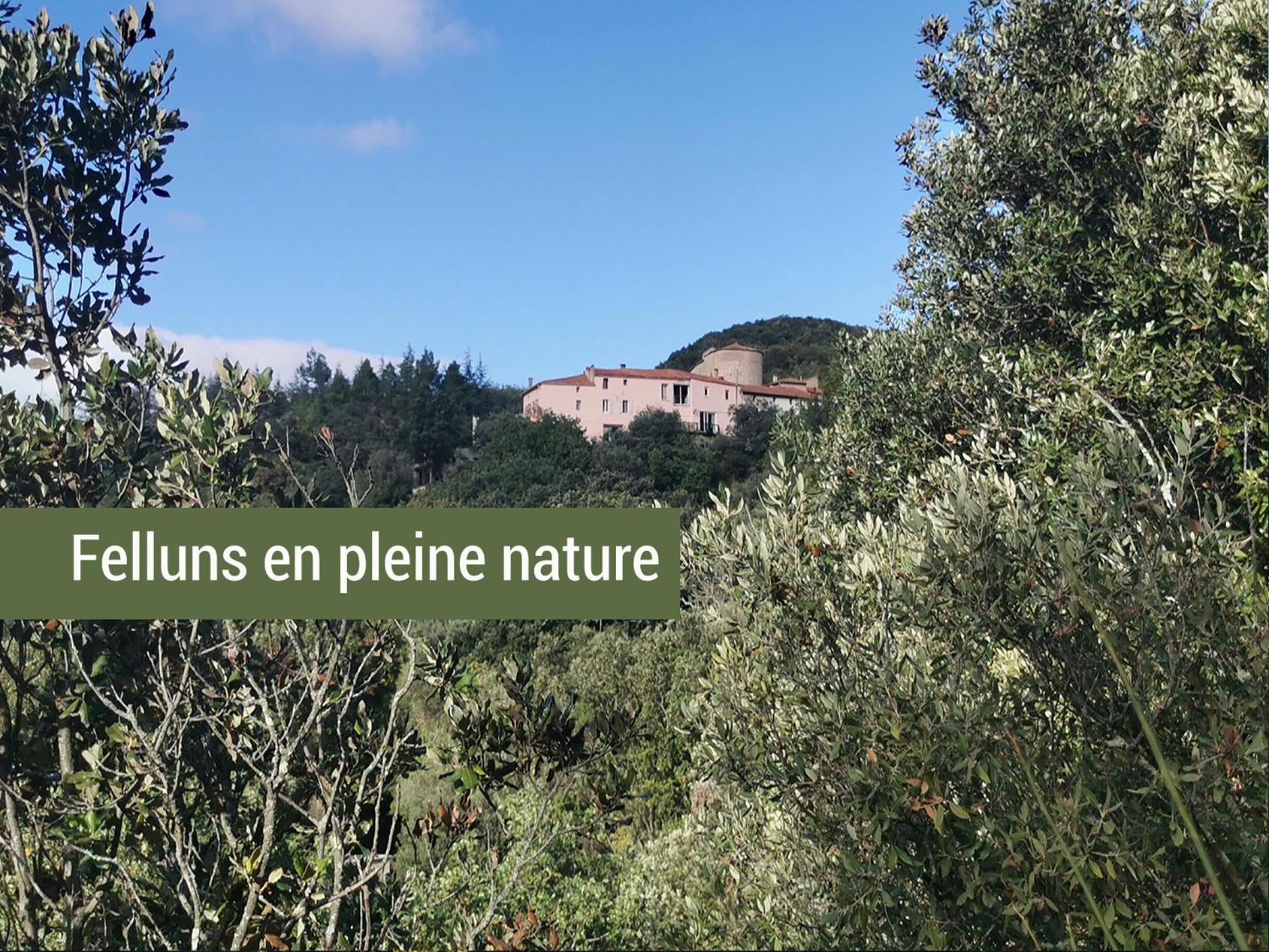 Pyrenees Mon Amour Felluns Luaran gambar