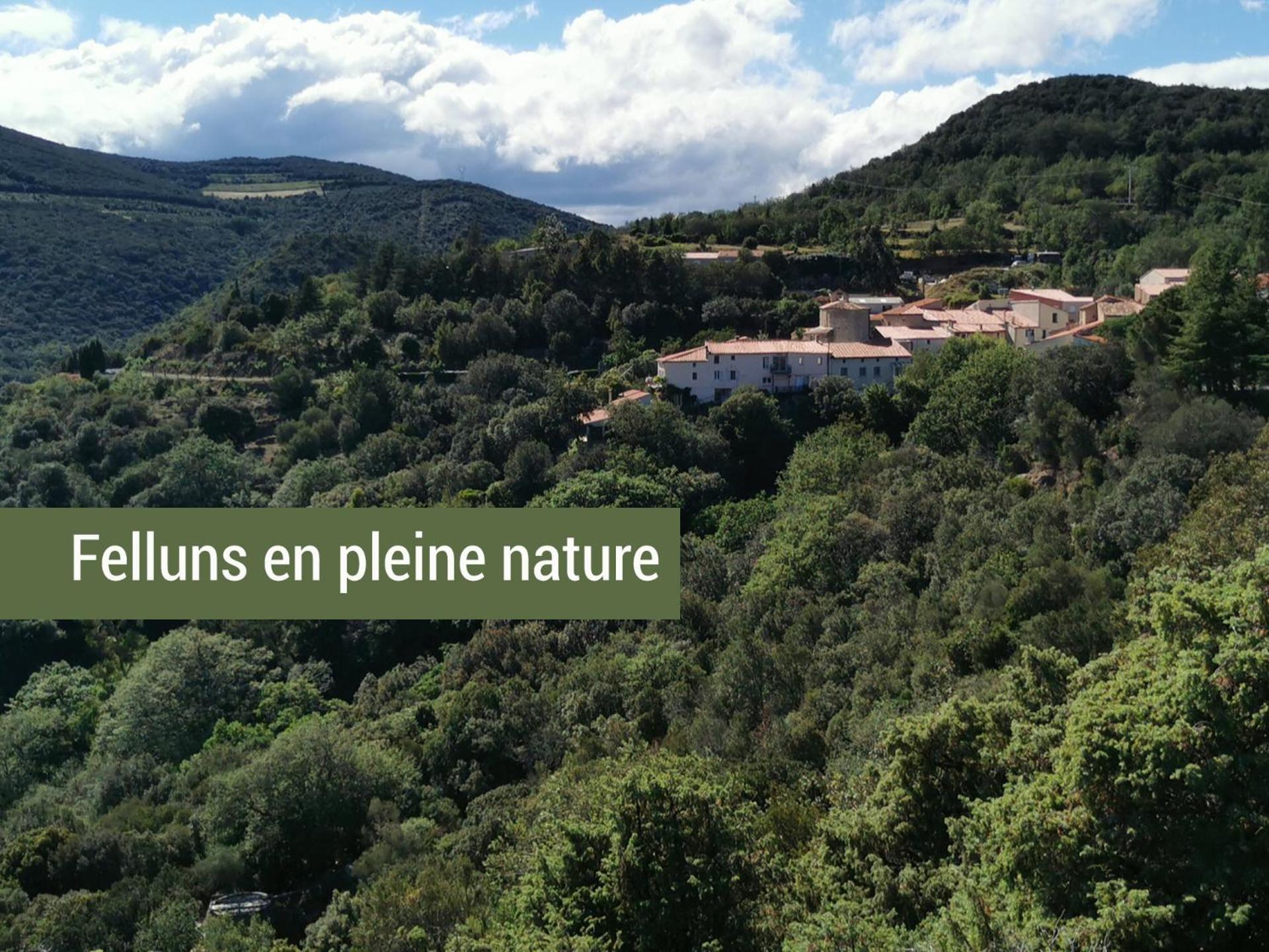 Pyrenees Mon Amour Felluns Luaran gambar