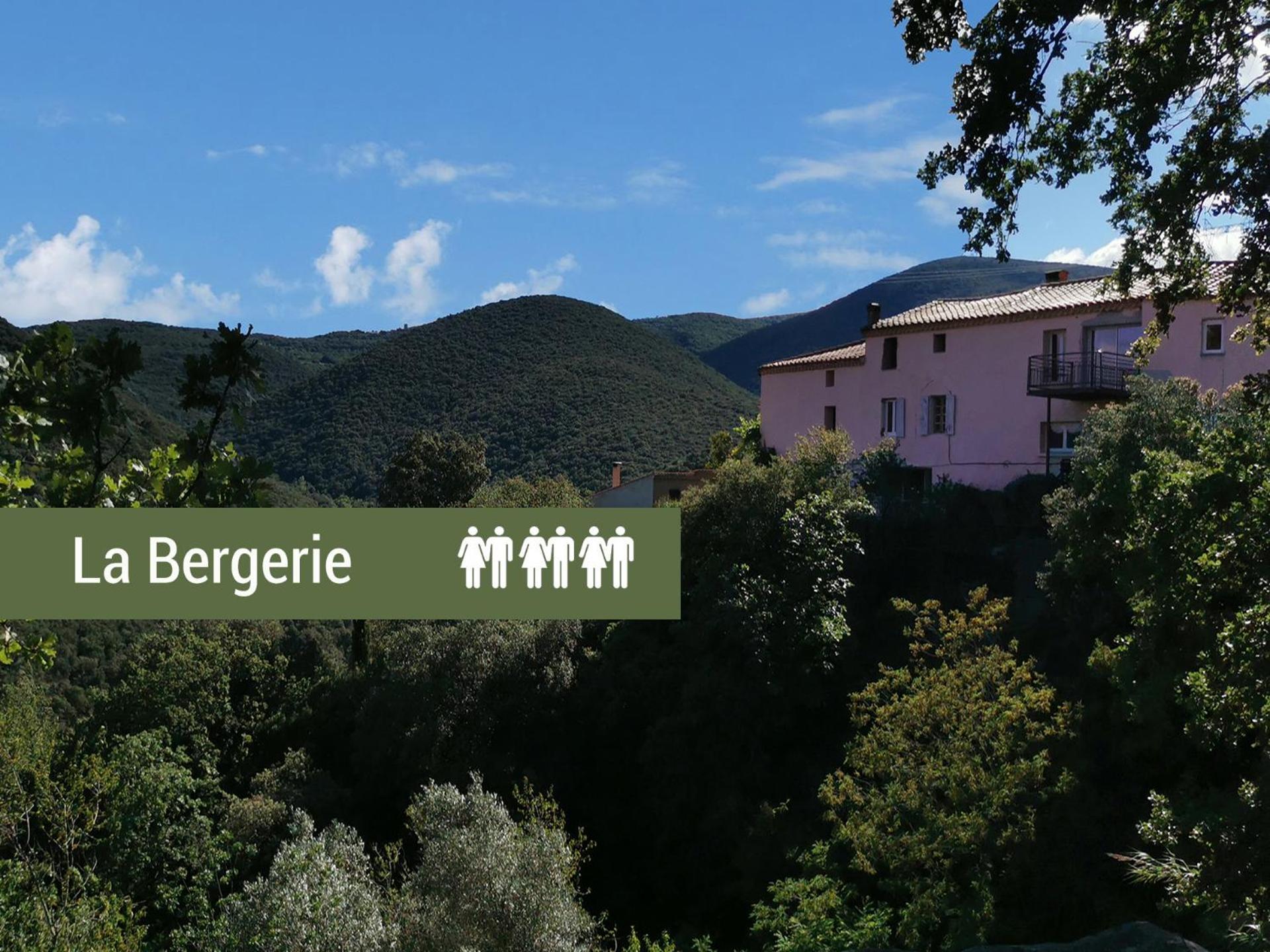 Pyrenees Mon Amour Felluns Bilik gambar